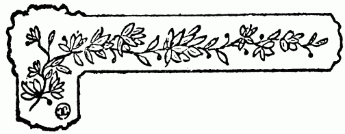 barra decorativa capítulo XXI barra decorativa capítulo XXI