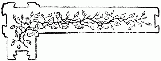 barra decorativa capítulo XXIV barra decorativa capítulo XXIV