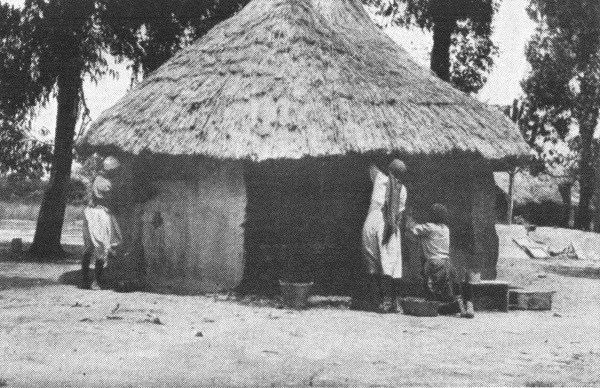 Hut built by Frances  and Alice. Hut Built by H. Frances Davidson and Alice Heise at Matopo.