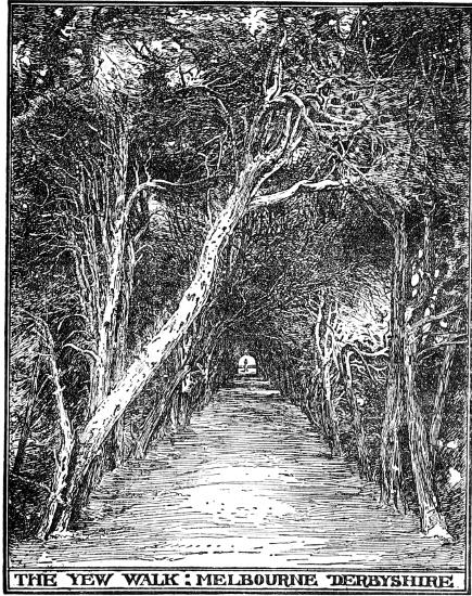 THE YEW WALK; MELBOURNE DERBYSHIRE  BY F. INIGO THOMAS.  FROM BLOMFIELD'S 'THE FORMAL GARDEN.'  BY LEAVE OF MESSRS. MACMILLAN. THE YEW WALK; MELBOURNE DERBYSHIRE  BY F. INIGO THOMAS.  FROM BLOMFIELD'S 'THE FORMAL GARDEN.'  BY LEAVE OF MESSRS. MACMILLAN.