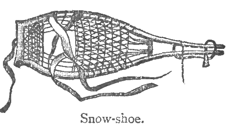 Snowshoe. Snowshoe.