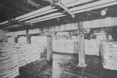 Curing Pork Fig. 14.—Curing Pork in Salt.