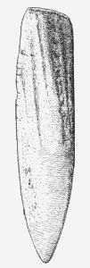 Fig. 39