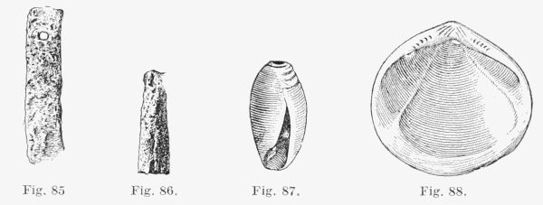 Fig. 85, 86, 87 and 88