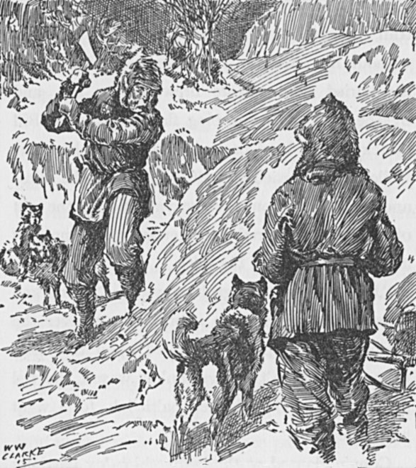 Waseche Bill attacked the hard-packed snow with his axe. Waseche Bill attacked the hard-packed snow with his axe.