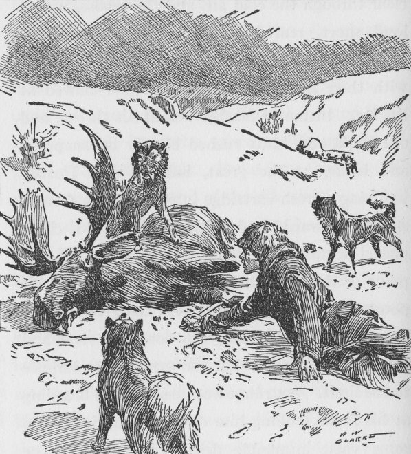 Mechanically he drew the knife from its sheath and dragged himself to the body of the moose. Mechanically he drew the knife from its sheath and dragged him self to the body of the moose.