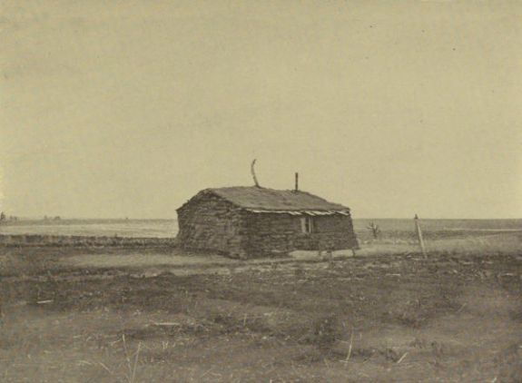 A TYPICAL SOD HOUSE A TYPICAL SOD HOUSE
