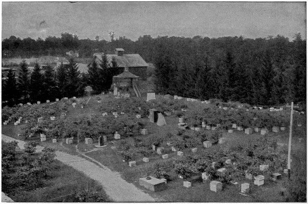 Idyllic garden with bee hives