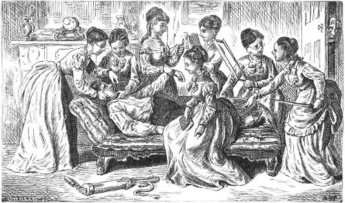 A GENERAL ATTACK ON THE SUBJECT. Illustration: A General Attack on the Subject