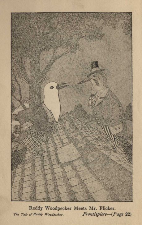 Reddy Woodpecker Meets Mr. Flicker. *The Tale of Reddy Woodpecker*. *Frontispiece*—(*Page* 22)