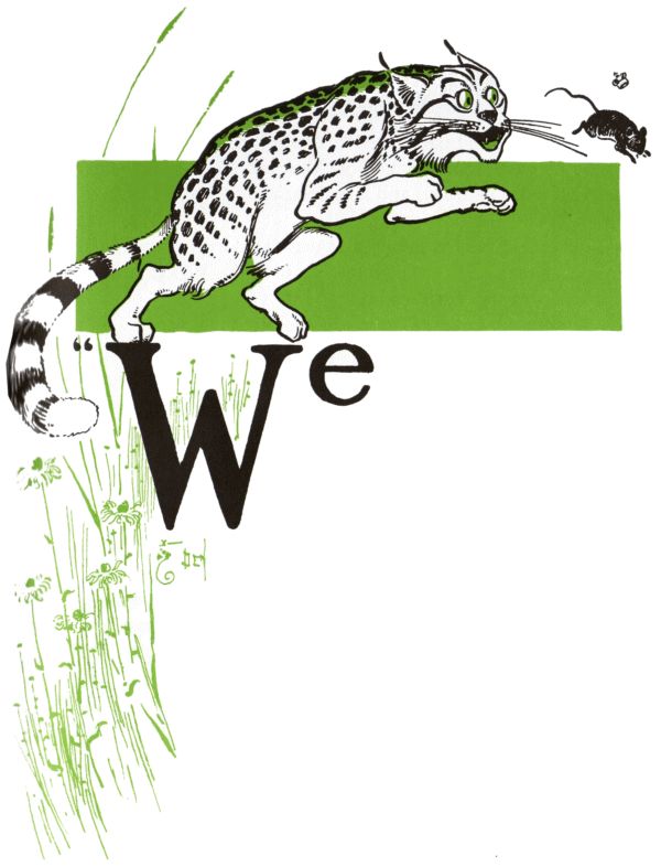 The queen of mice being chased The queen of mice being chased