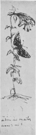 THE FLOWER AND THE BUTTERFLY. Drawing by Victor Hugo for Juliette (Victor Hugo Museum).