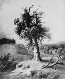 BRADDOCK’S GRAVE  FROM PAINTING BY PAUL WEBER, 1854 BRADDOCK’S GRAVE  FROM PAINTING BY PAUL WEBER, 1854