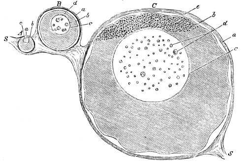 see caption see caption