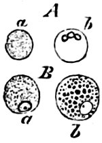 see caption see caption