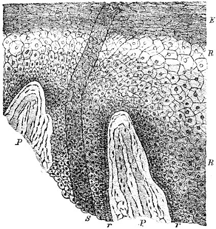 see caption see caption