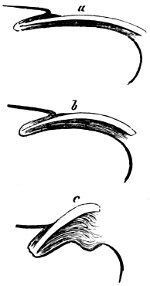 see caption see caption