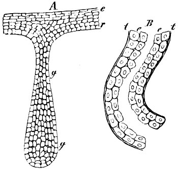 see caption see caption