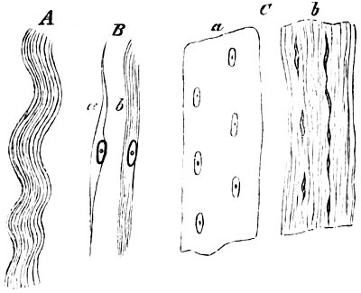 see caption see caption