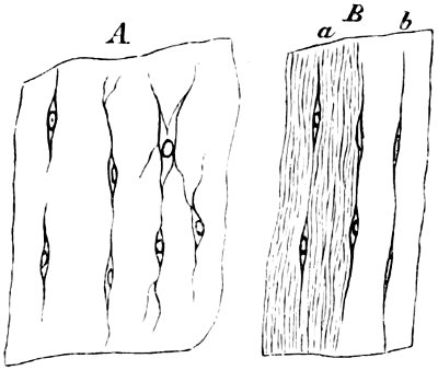 see caption see caption