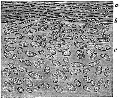 see caption see caption