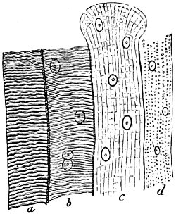 see caption see caption