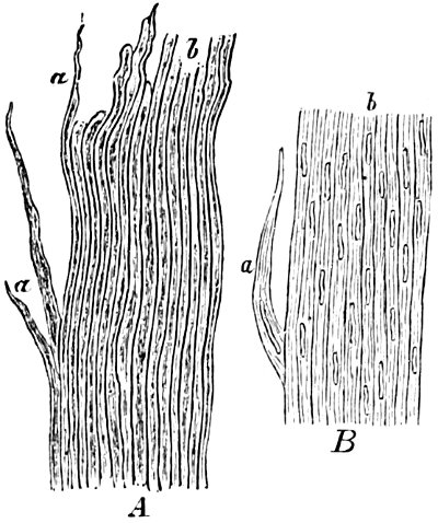 see caption see caption