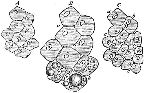 see caption see caption