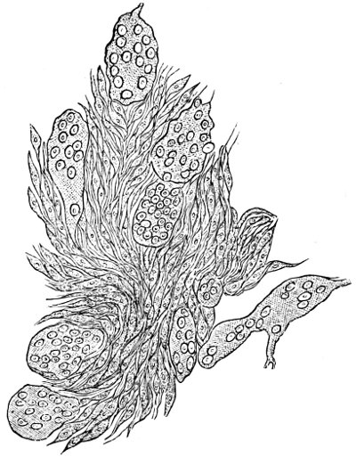 see caption see caption