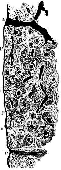 see caption see caption