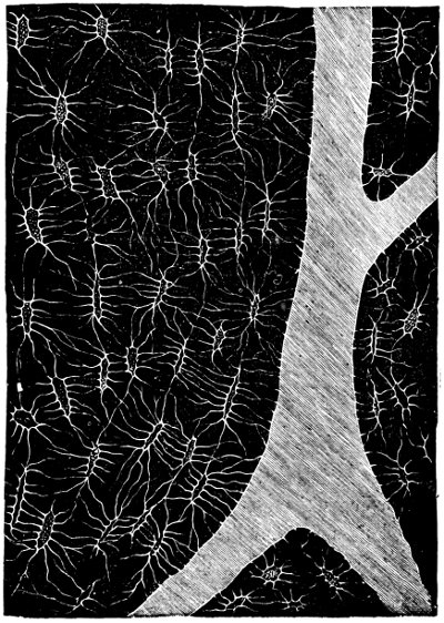 see caption see caption