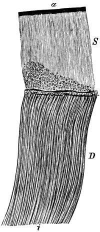 see caption see caption