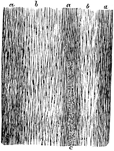 see caption see caption