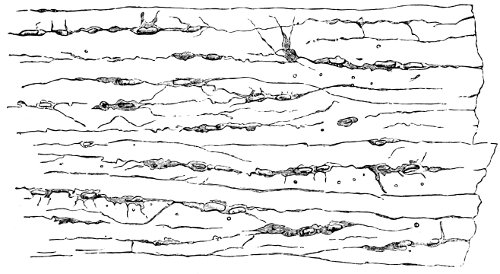 see caption see caption