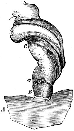 see caption see caption