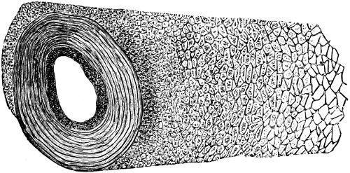 see caption see caption