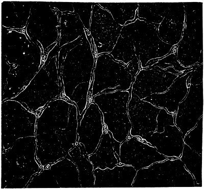 see caption see caption