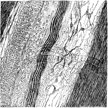 see caption see caption