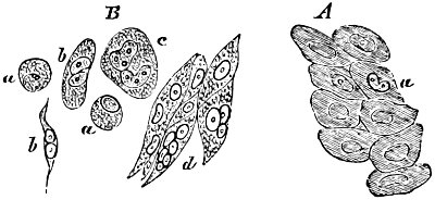 see caption see caption