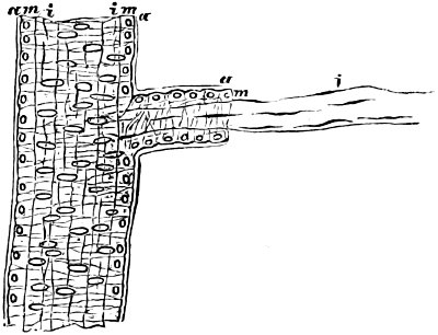 see caption see caption