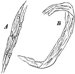 see caption see caption