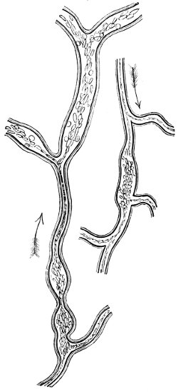 see caption see caption