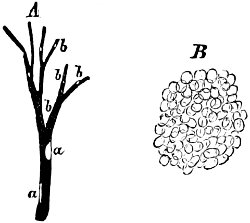 see caption see caption