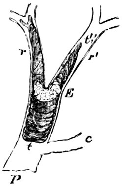 see caption see caption