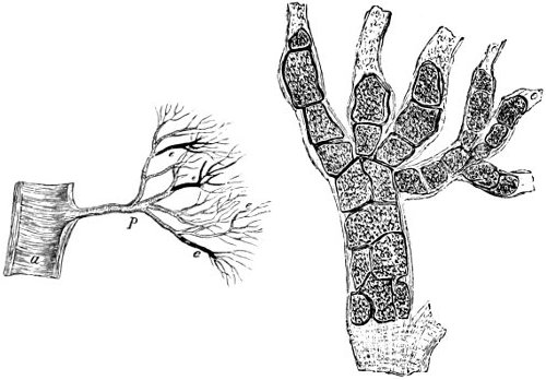 see caption see caption