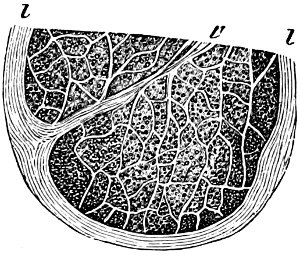 see caption see caption