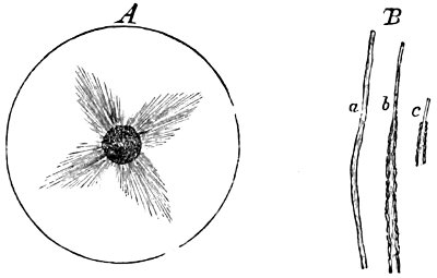 see caption see caption