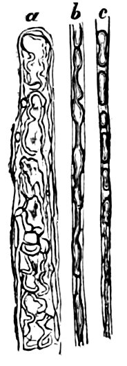 see caption see caption