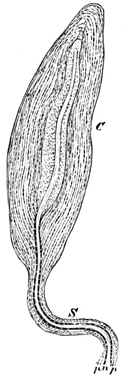 see caption see caption