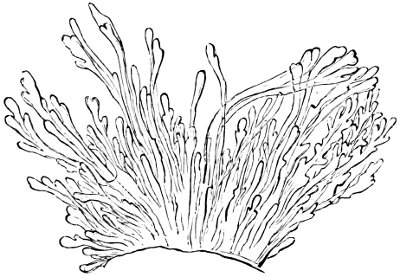 see caption see caption